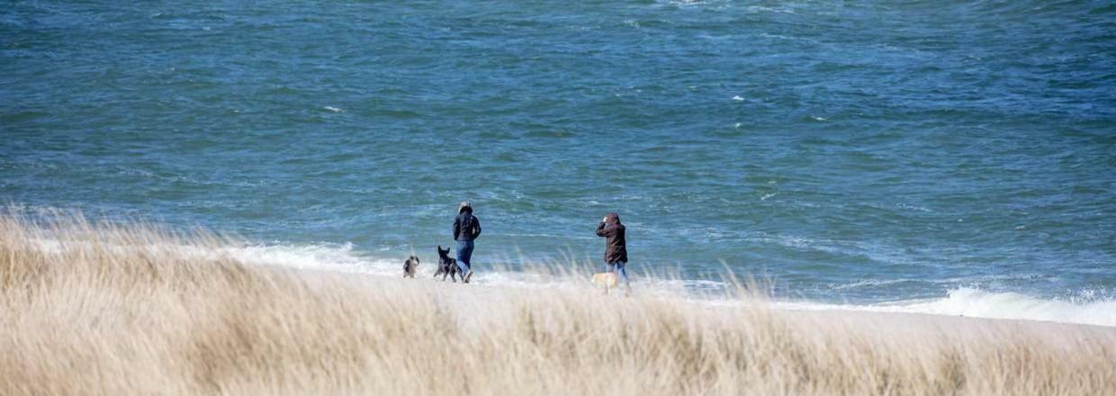 "Rieke" Apartment Westerland Bagian luar foto